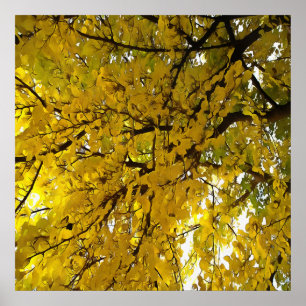 Affiche Beaux Feuille d'automne Vibes Art Abstrait
