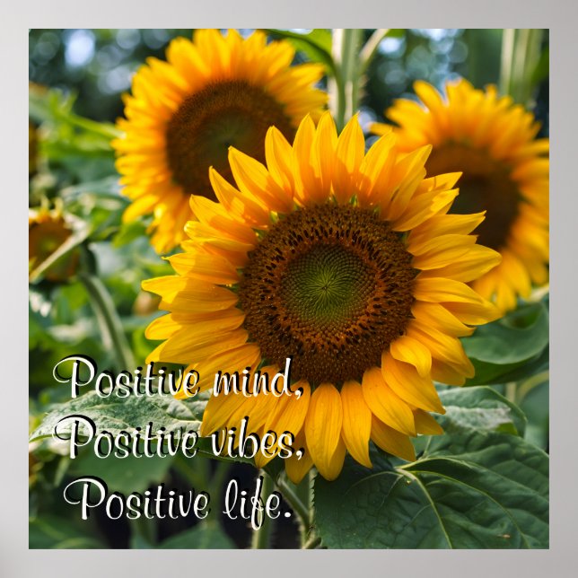 Affiche Beaux tournesols sous le soleil Personnalisé (Devant)