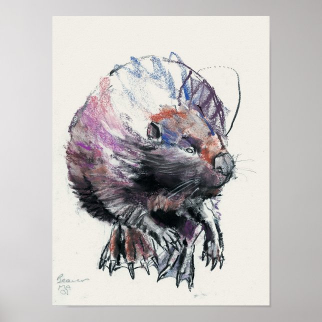 Affiche Beaver 2001 (Devant)
