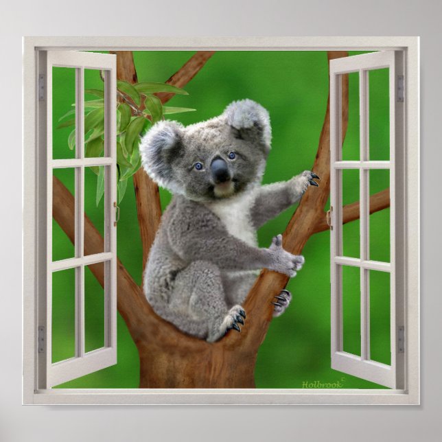 Affiche Bébé bleu Koala Ours faux fenêtre (Devant)
