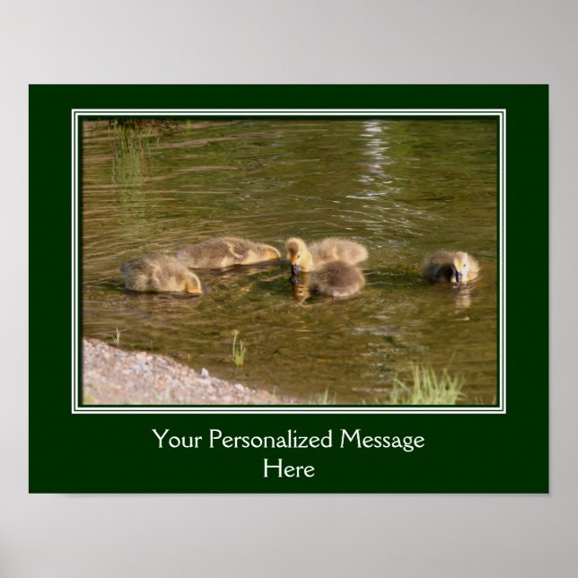 Affiche Bébé Canada Goélands d'oies Créez votre propre (Devant)
