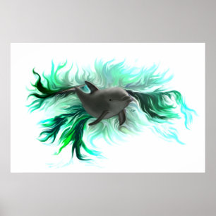 Affiche Bébé dauphin