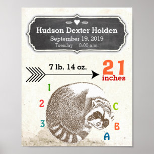 Affiche Bébé Garçon natalité Statistiques mignonne Raccoon