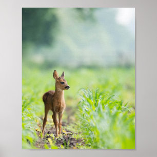 Affiche Bébé mignon cerf Fawn dans l'herbe Nature Photogra