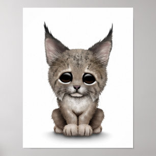Affiche Bébé mignon Lynx Cub sur blanc