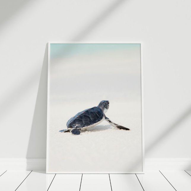 Affiche Bébé mignonne tortue de mer sur la plage (Cute Baby Sea Turtle on the Beach Poster in white frame on white floor.)