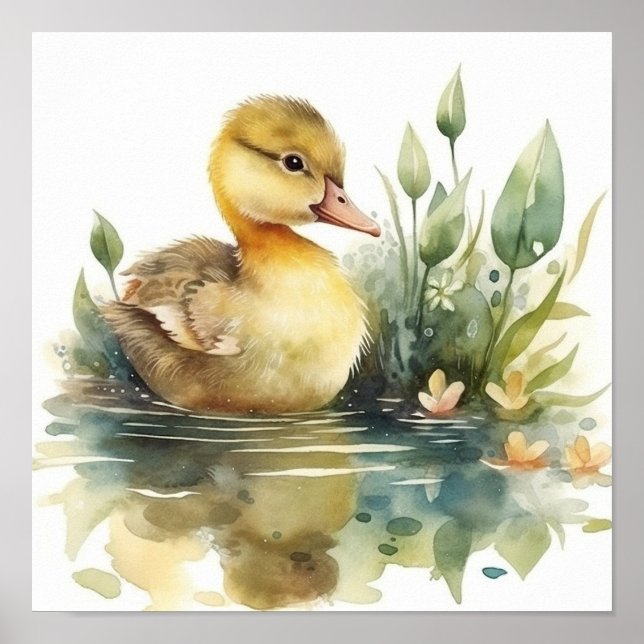 Affiche Bébé mou Canard, Canard sur une étang aquarelle (Devant)