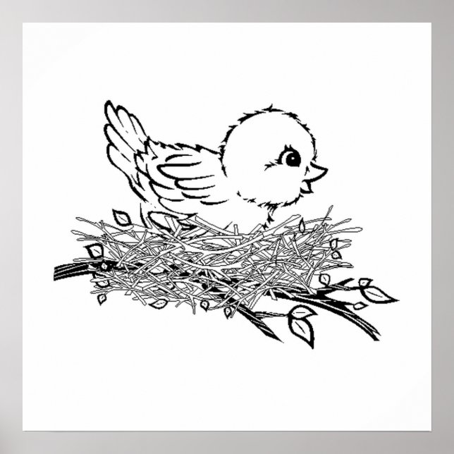 Affiche Bébé Oiseau Dans Le Nid (Devant)