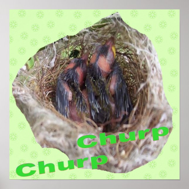 Affiche Bébé Oiseaux (Devant)