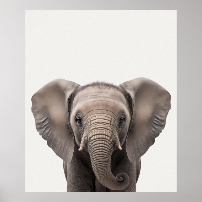 Affiche Bébé Safari Animaux de la Jungle Africaine Éléphan (Devant)