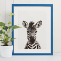 Bébé Safari Animaux de la Jungle Africaine Zèbre