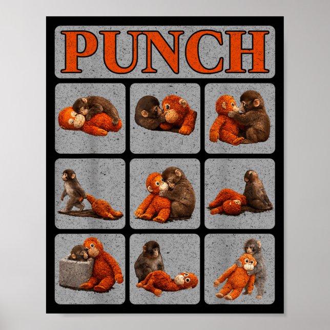 Affiche Bébé singe mignon nommé punch shirt punch monkey (Devant)