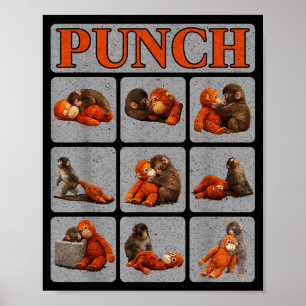 Affiche Bébé singe mignon nommé punch shirt punch monkeyCu