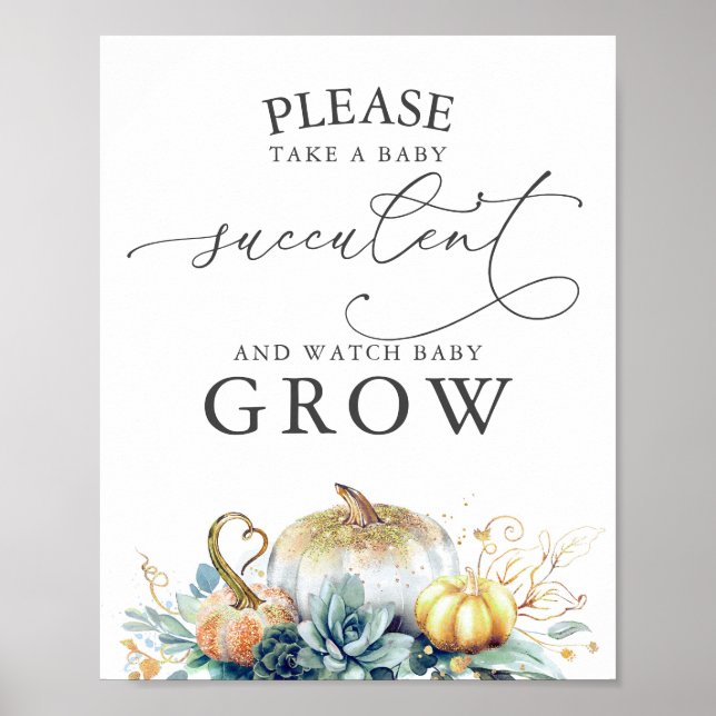 Affiche Bébé Succulents Faveurs Signer Pour Votre Baby sho (Devant)
