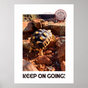 Affiche Bébé Sulcata randonnée à Sedona Red Rocks Arizona