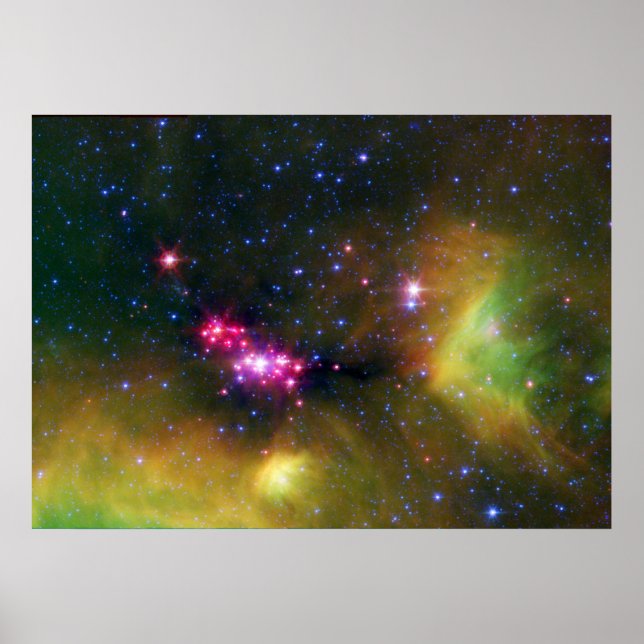 Affiche Bébés stellaires (Devant)