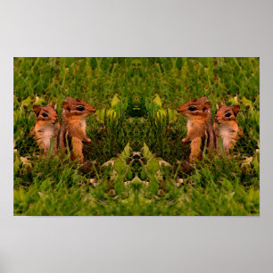 Affiche Bébés Tamias Art Animalier Faune