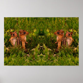 Affiche Bébés Tamias Art Animalier Faune