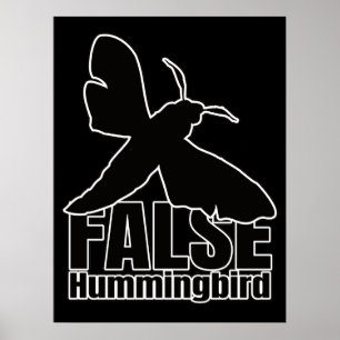 Affiche Bécasseau à colibri-papillon - Geek d'enttomologie