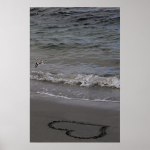 Affiche Bécasseau dans l'amour