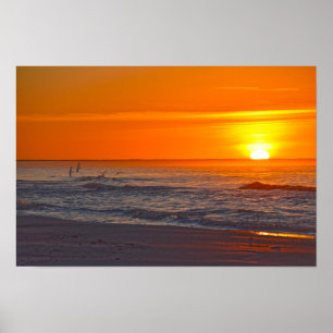 Affiche Bécasses volantes au lever du soleil, plage de Flo