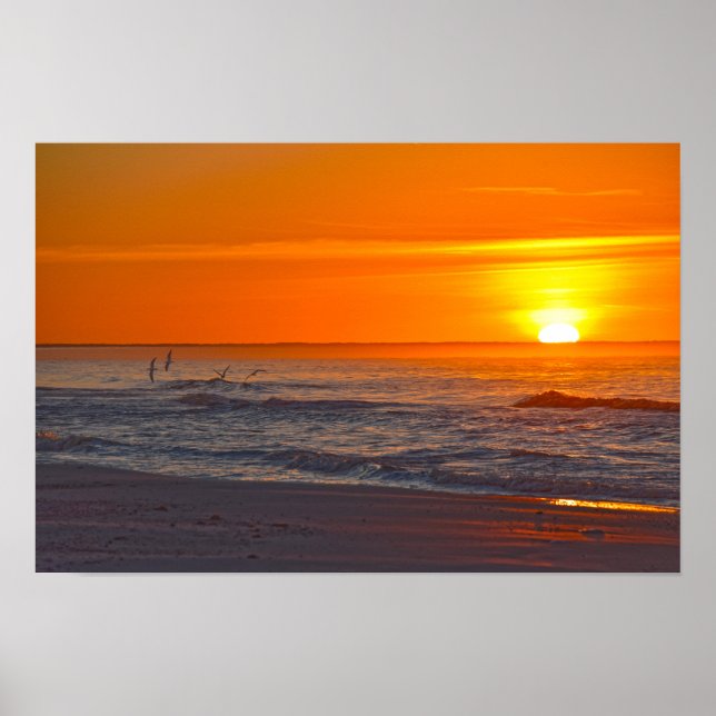 Affiche Bécasses volantes au lever du soleil, plage de Flo (Devant)