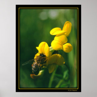 Affiche Bee Breakfast