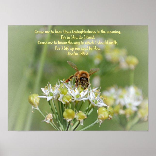 Affiche Bee du matin sur Blossoms Bible Verse Art (Devant)