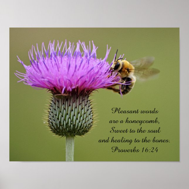 Affiche Bee on Thistle Scripture Photographie Art Imprimer (Devant)