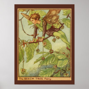 Affiche Beech Tree Fairy by Vision Studio