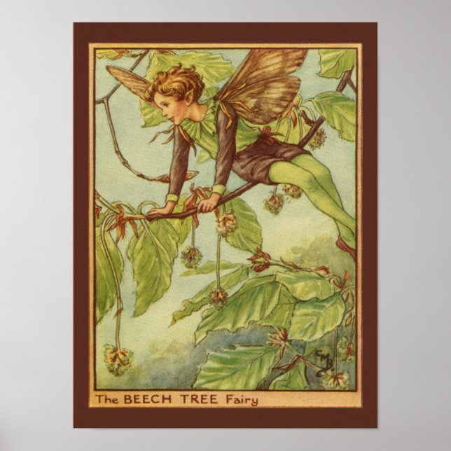 Affiche Beech Tree Fairy by Vision Studio (Devant)