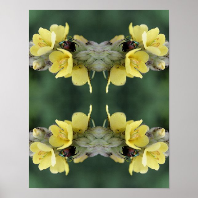 Affiche Beetle sur Wild Mullein Flower Abstrait (Devant)