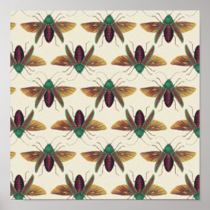 Affiche Beetles