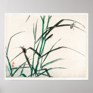 Affiche Beetles par Kōno Bairei (1844-1895)