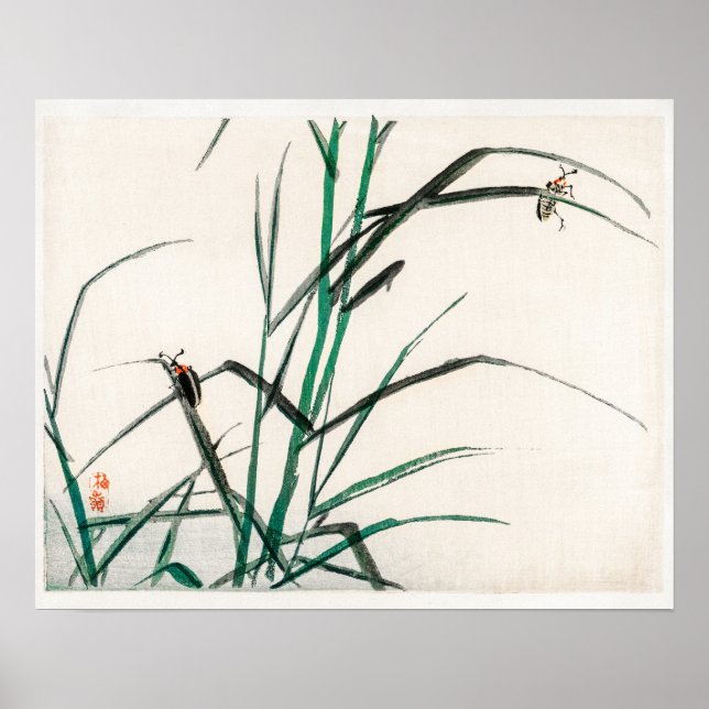 Affiche Beetles par Kōno Bairei (1844-1895) (Devant)