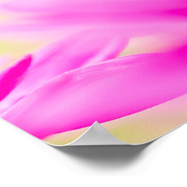 Affiche Before the Bloom (Coin)