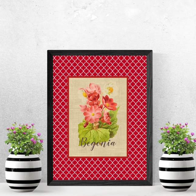Affiche Begonia Botanical et Quatrefoil (Créateur téléchargé)