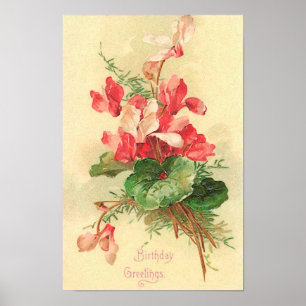 Affiche Begonia Vintage Anniversaire Salutations