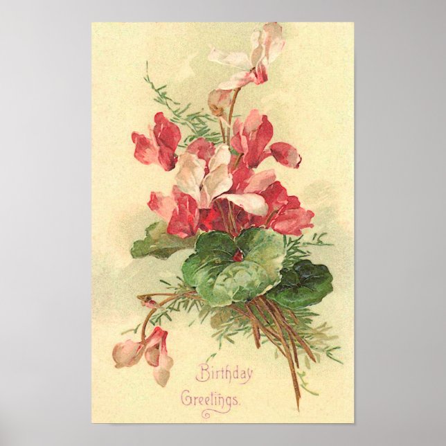 Affiche Begonia Vintage Anniversaire Salutations (Devant)