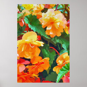 AFFICHE BEGONIAS
