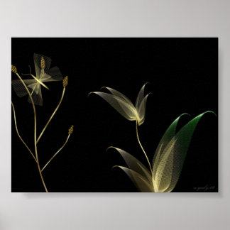 Affiche Beige sur Noir