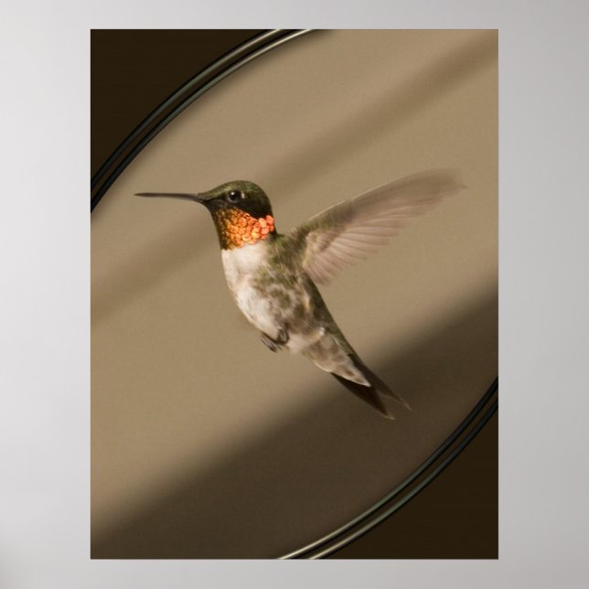 Affiche Beija Flor (Devant)