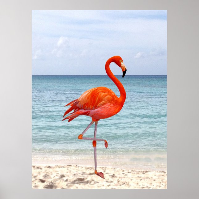 Affiche Bel oiseau flamant rose sur la plage (Devant)