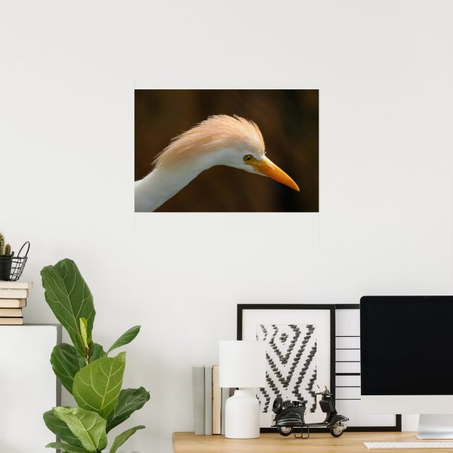Affiche Bel oiseau héron garde-boeufs (Bureau à domicile)