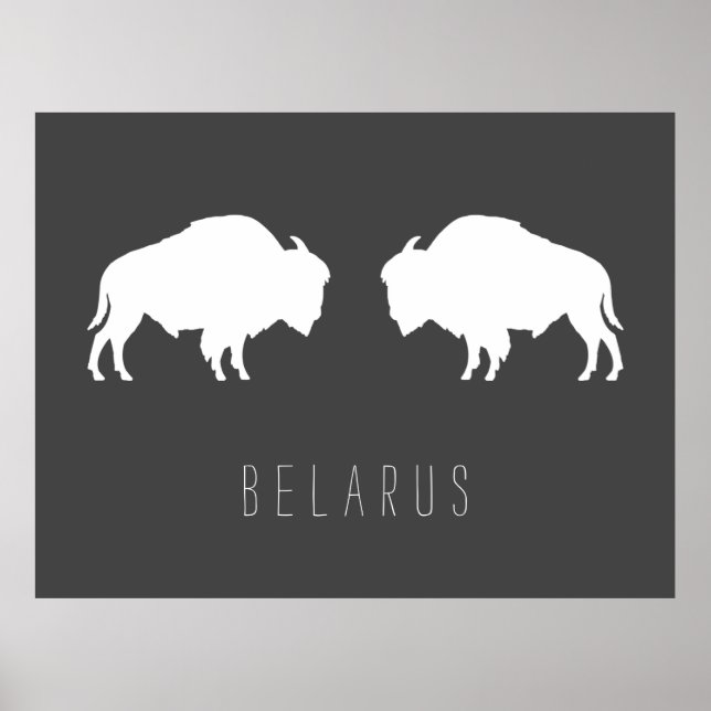 Affiche Belarus Belarusian Bison Зубр Беларусь Travel (Devant)