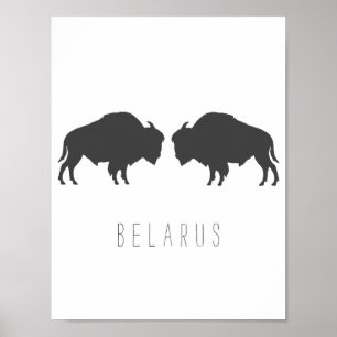 Affiche Belarus Belarusian Bison Зубр Беларусь Travel