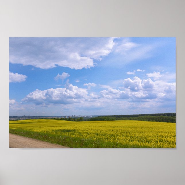 Affiche Bélarus Grodno Canola Fields (Devant)