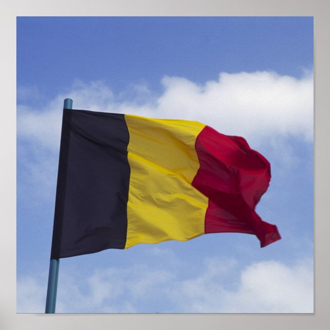 Affiche Belgian flag RF) (Devant)