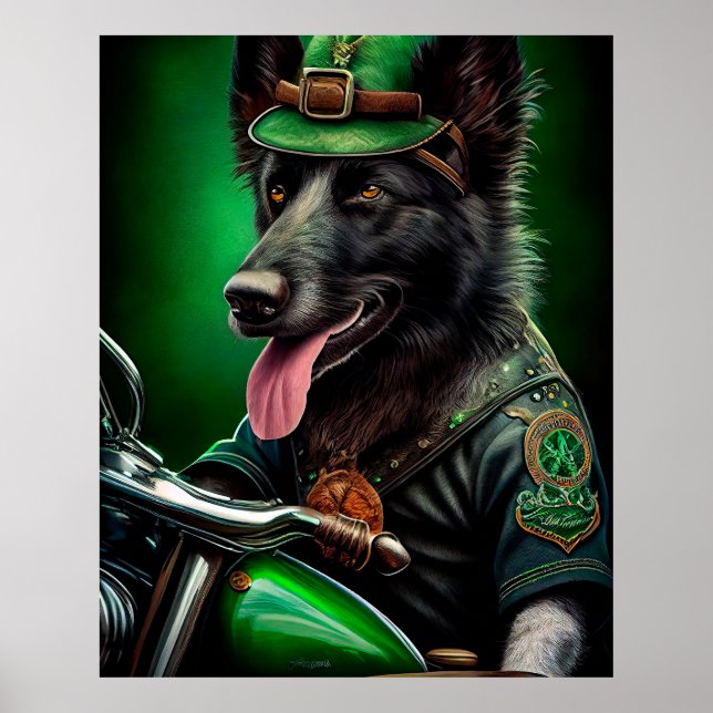 Affiche Belgian Shepherd conduite vélo St. Patrick's Day (Devant)