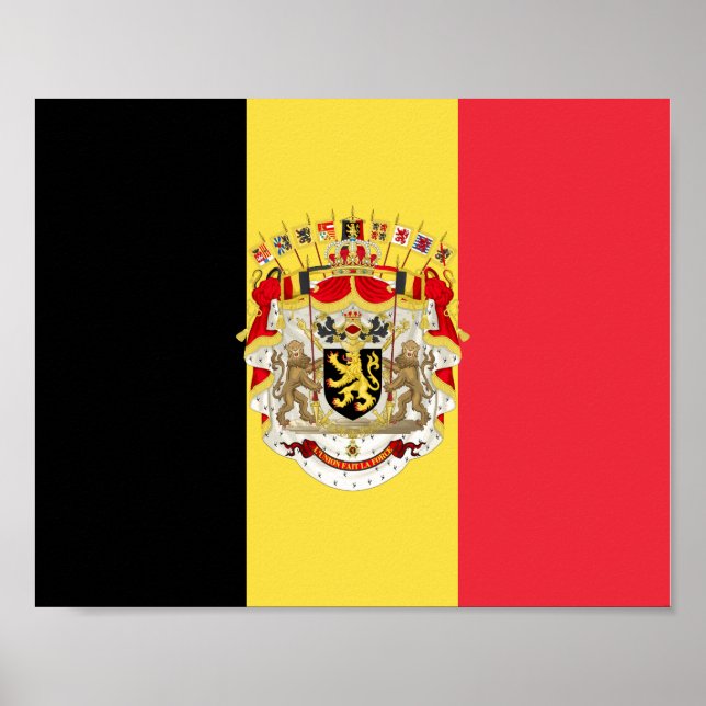 Affiche Belgium Flag & COA (Devant)